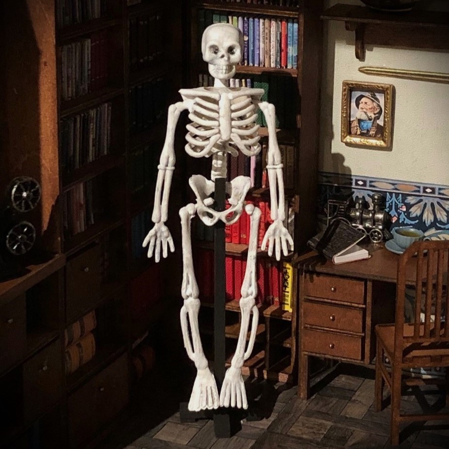 Anatomiskt skelett på fot